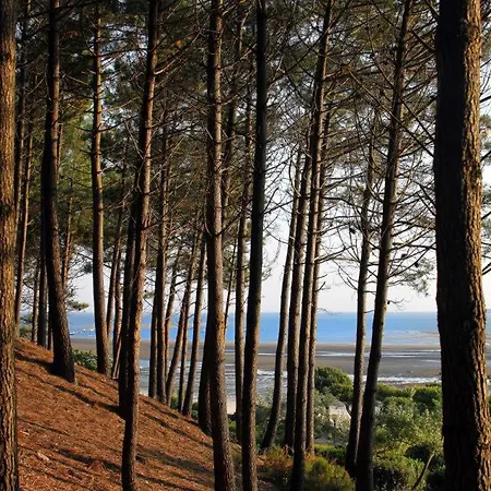 De Tourisme Bleues Regina 3*