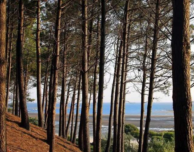 Résidence De Tourisme Bleues Regina 3*