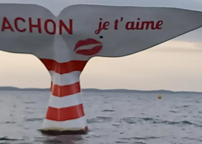 Apartahotel Résidence De Tourisme Bleues Regina